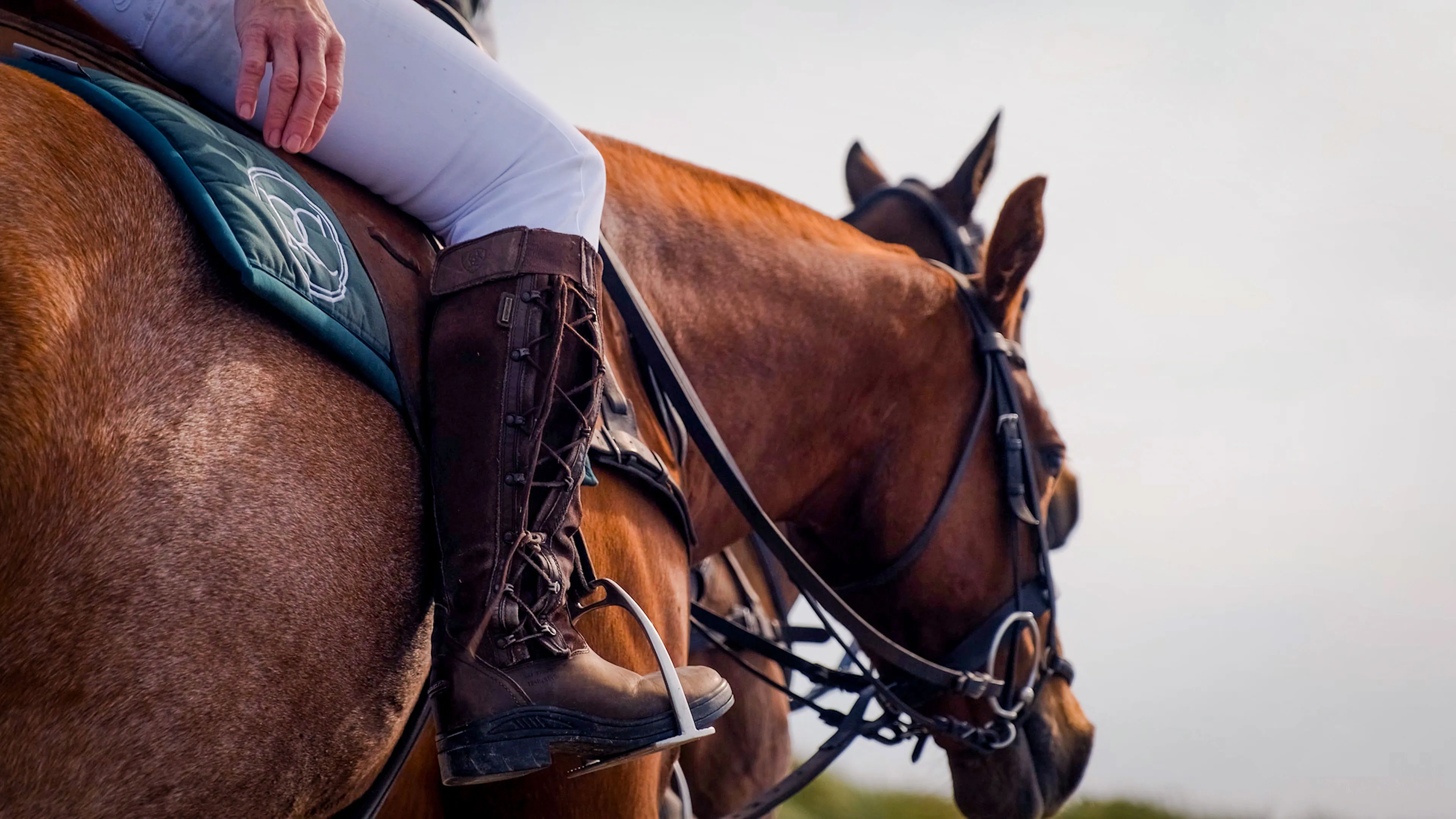 Close-up of a horseback rider wearing white pants and brown boots, seated on a chestnut horse with a green saddle pad, conveying tranquility.